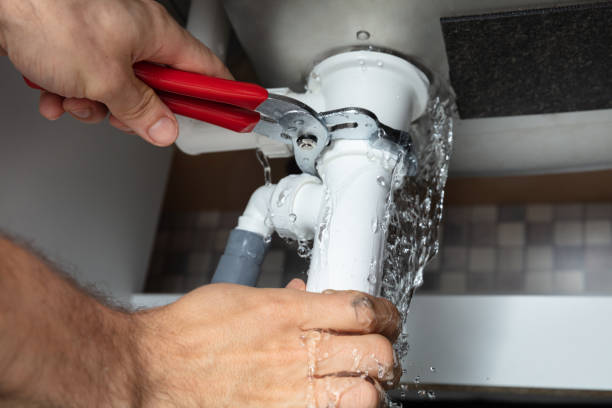 Best Water damage cleanup near me  in Paw Paw Lake, MI
