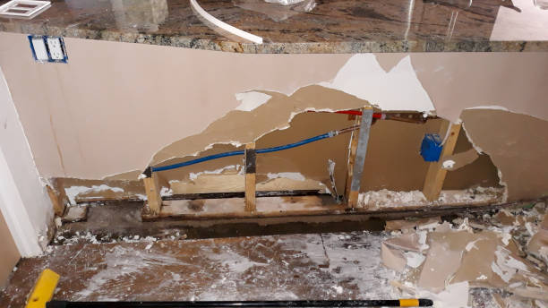 Best Basement water damage restoration  in Paw Paw Lake, MI