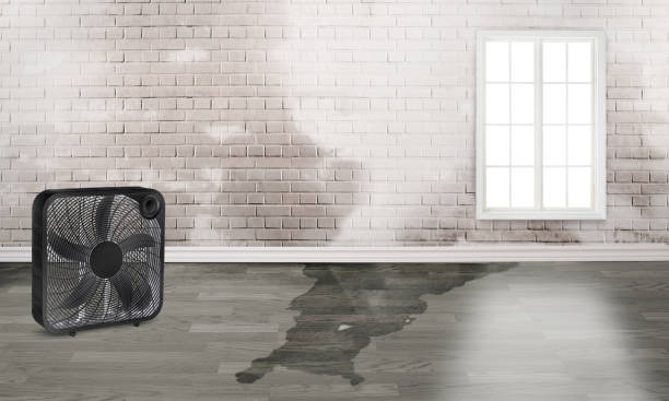 Best Commercial water damage restoration  in Paw Paw Lake, MI