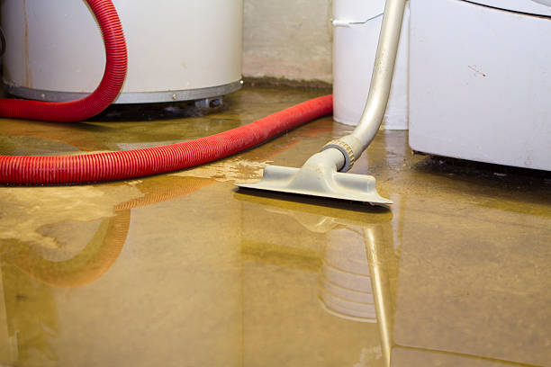 Best Water damage contractors near me  in Paw Paw Lake, MI