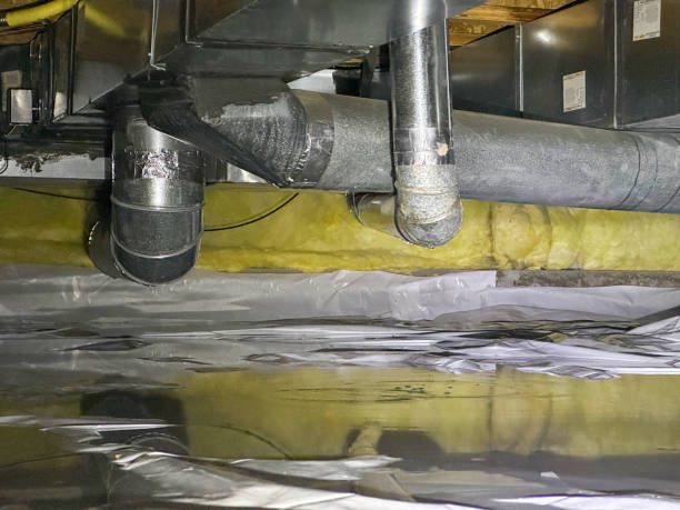  Paw Paw Lake, MI Water damage restoration Pros