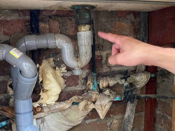Best Carpet water damage restoration  in Paw Paw Lake, MI