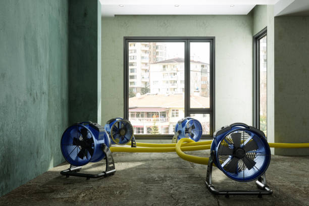 Best Commercial water damage restoration  in Paw Paw Lake, MI