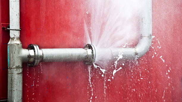 Best 24/7 water damage repair  in Paw Paw Lake, MI